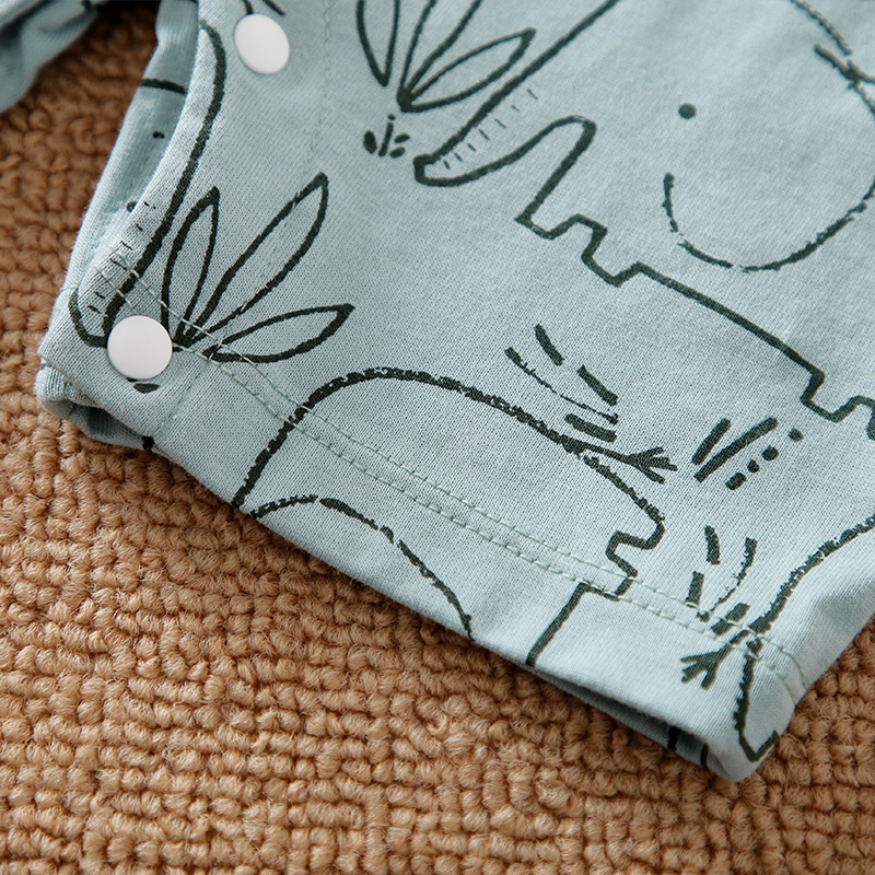 Schattige dierenolifant 0-12 m - Baby Clothing Elephant recensie en prijs